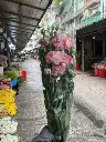 z6577457261283_cc1cf2c086b16e1a15d302c6f76450b6.webp