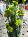 z6577457238674_aa5c2f5a97872c2079ec63f374678f28.webp