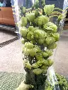 z3343688980344_0f61b3bfda7dff876b4340d945cbba2d.webp