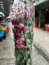 z6577457274501_755127a4aa3e0601b874a34065ac4593.webp
