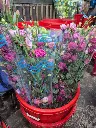 z6579600151029_7f8cc725ec450f67a6960debc1065d6a.webp