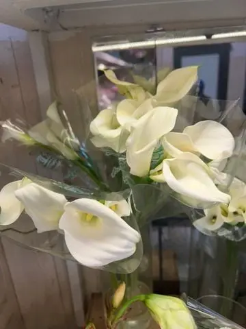 Hoa rum nhập khẩu ( 10 bông)