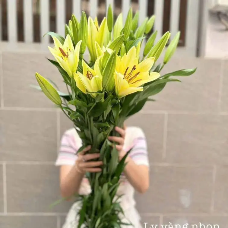 Lily vàng nhọn (5 cành, 3 bông/cành)