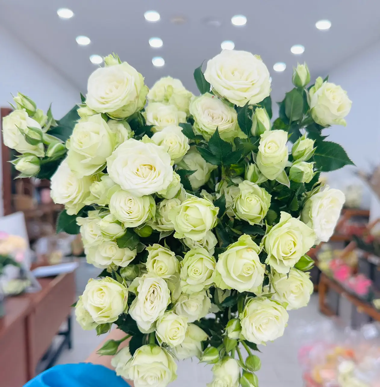 Hồng chùm trắng (10 cành/bó) - White Lady