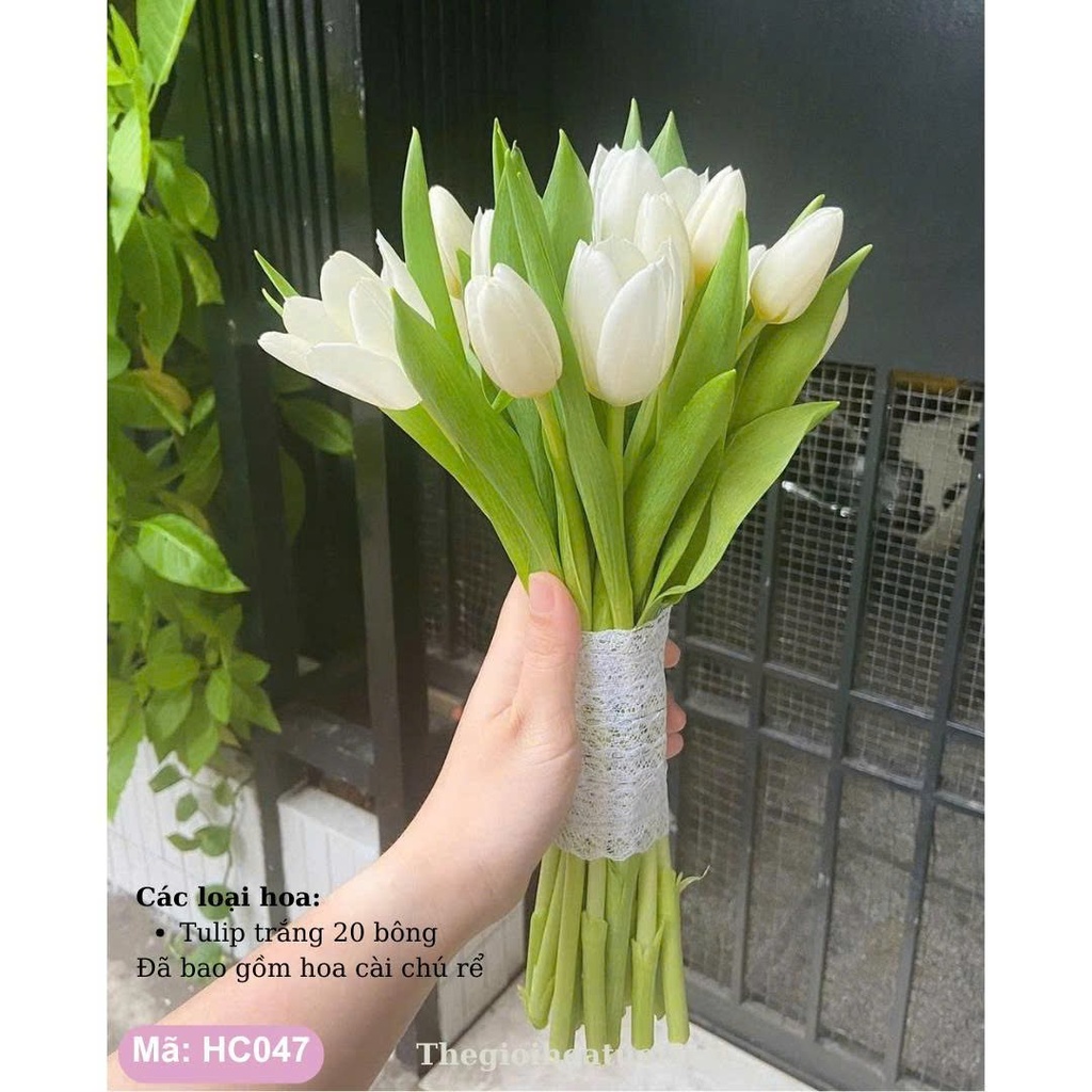 Hoa cưới cầm tay- HC047
