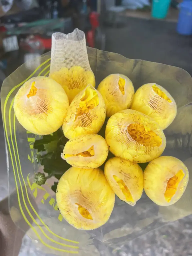 Cúc Lưới vàng - Nhà vườn Đà Lạt (10 cành)