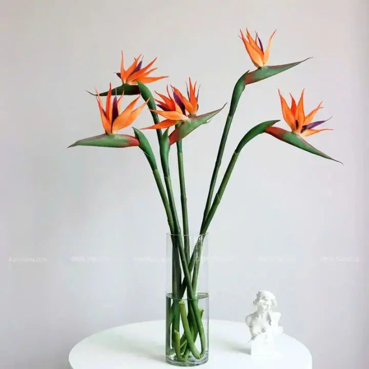 Hoa Thiên điểu (5 bông/bó)