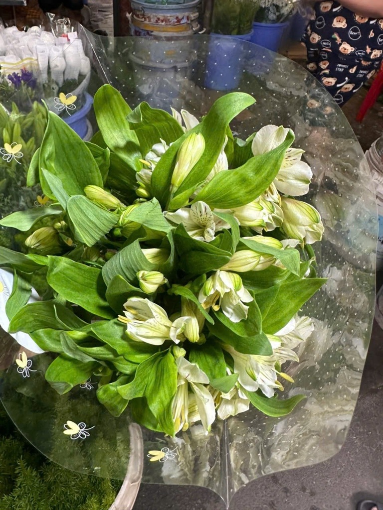 Thuỷ tiên Trắng (bó 10 cành)