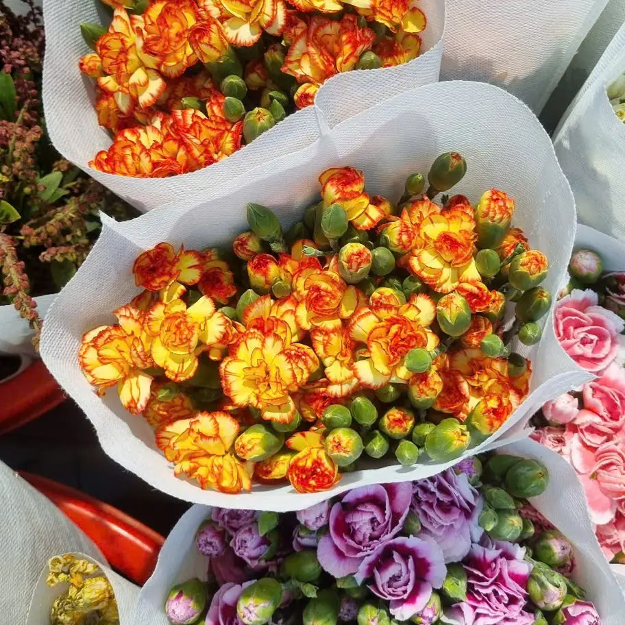Cẩm chướng chùm Đà lạt - Cam (20 cành)