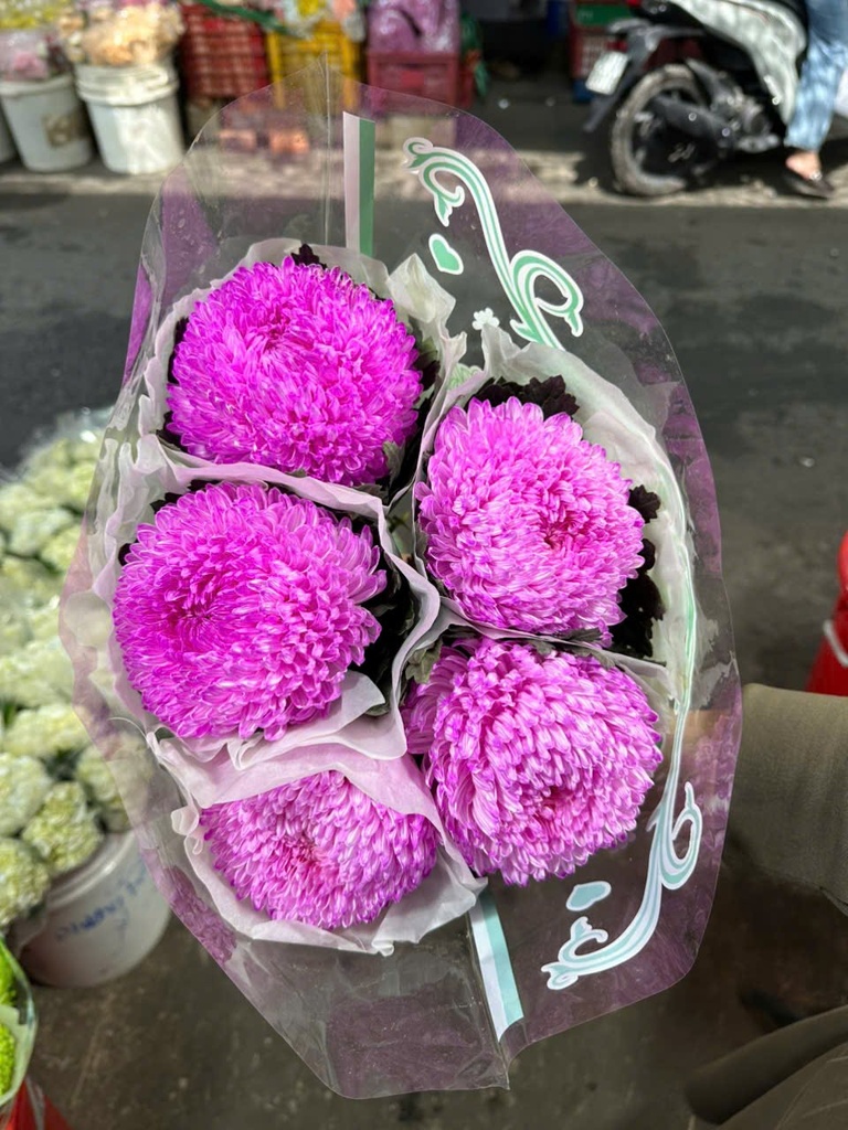 Cúc mẫu đơn Tím nhạt (bó 5 bông)