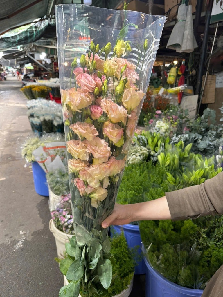 Cát Tường Xoăn Kem