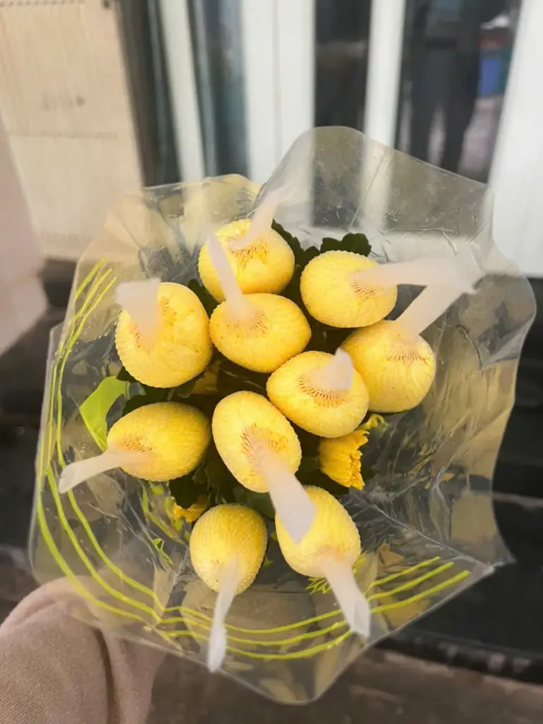 Cúc lưới cứng vàng - Nhà vườn Đà Lạt (10 cành)