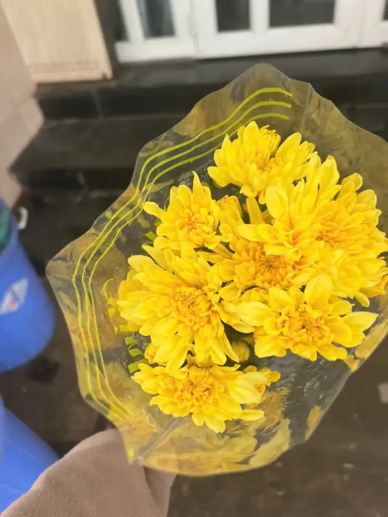 Cúc đóa (10 cành) (bản sao)