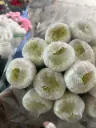 Cúc magnum to trắng (10 bông) 
