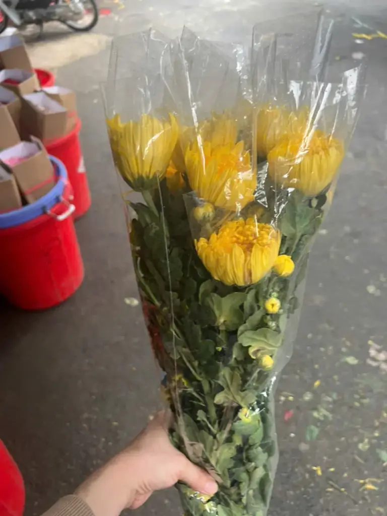 Cúc kim cương, nhỏ (10 cành) (bản sao)
