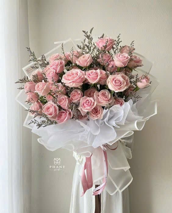 Sắc Hoa Ngày Nắng - HCM0349