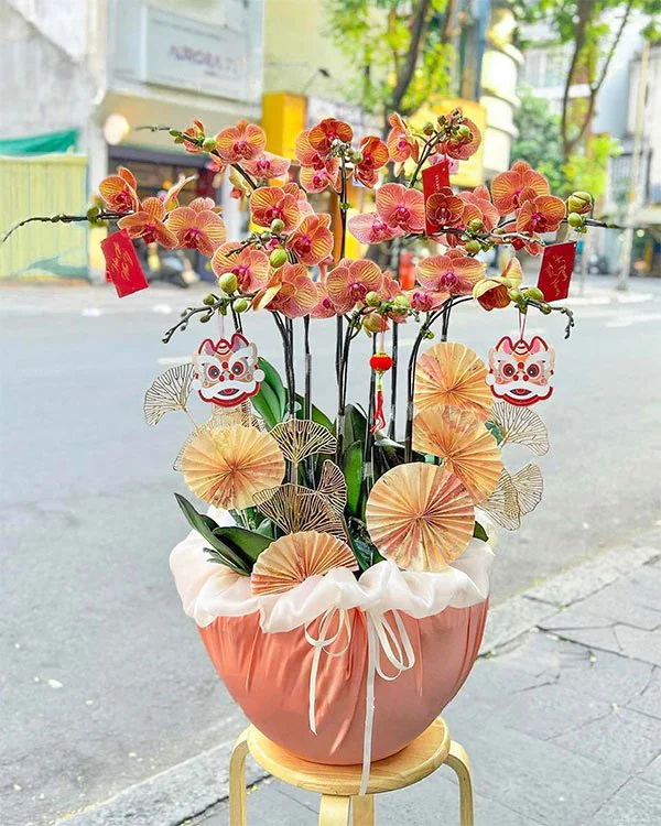 Chậu Lan Hồ Điệp 6-10 Cành -    L10C014
