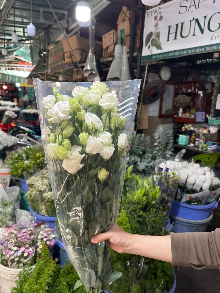 Cát tường Xoăn - Trắng (Bó 1kg)