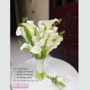 Hoa cưới cầm tay- HC070