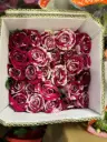 Hoa hồng Màu Kẹo - Pink Splash (50 bông/bó)