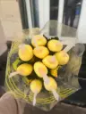 Cúc lưới cứng vàng - Nhà vườn Đà Lạt (10 cành)
