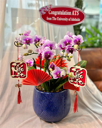 Chậu Lan Hồ Điệp Mini- LM001