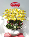 Chậu Lan Hồ Điệp Vàng- LV019