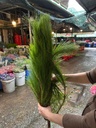 Lá thông (bó 1kg)