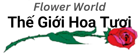 www.thegioihoatuoi.net